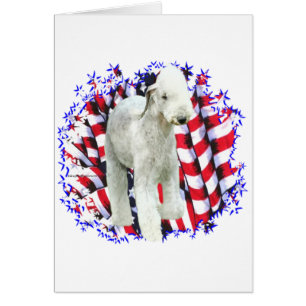 Bedlington Terrier Patriot