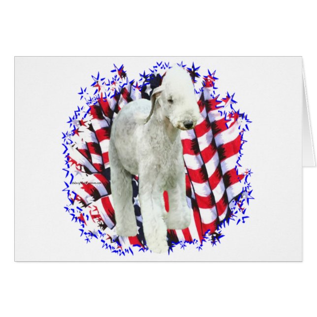 Bedlington Terrier Patriot (Vorderseite (Horizontal))