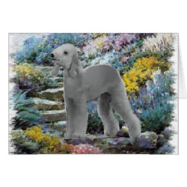 Bedlington Terrier Summer Garden
