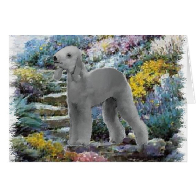 Bedlington Terrier Summer Garden (Vorderseite (Horizontal))