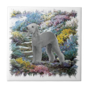 Bedlington Terrier Summer Garden Fliese