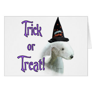 Bedlington Terrier Trick
