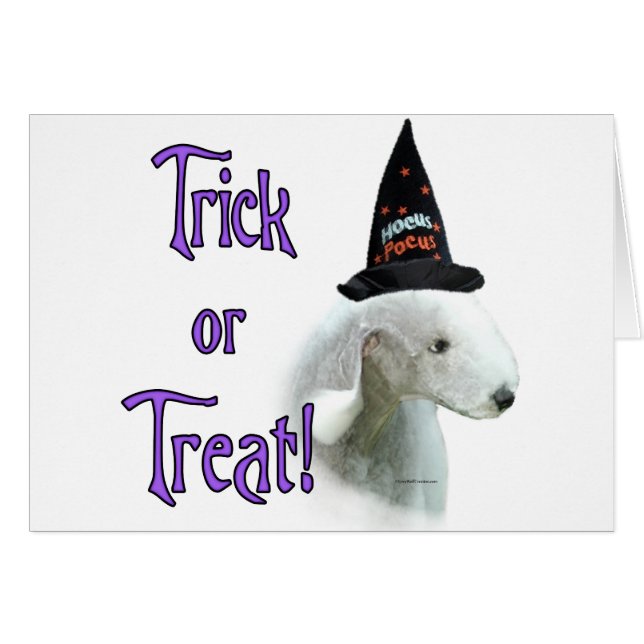 Bedlington Terrier Trick (Vorderseite (Horizontal))