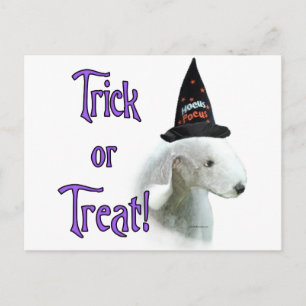 Bedlington Terrier Trick Postkarte
