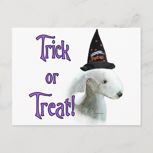 Bedlington Terrier Trick Postkarte (Vorderseite)