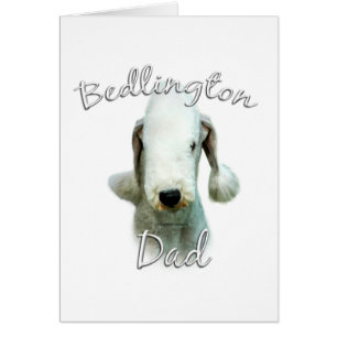 Bedlington Terrier Vater 2