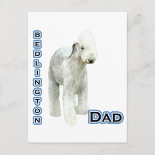 Bedlington Terrier Vater 4 Postkarte