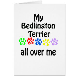 Bedlington Terrier Walks Design