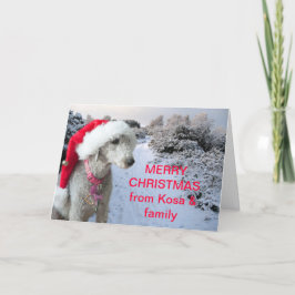 Bedlington Terrier Weihnachtskarte Feiertagskarte