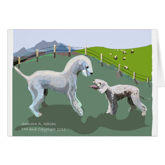 Bedlington Terriers - Treffen Sie Ihren Held (Vorderseite (Horizontal))