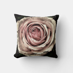 Bedrückte, blassrosa Rose auf dem schwarzen Kissen