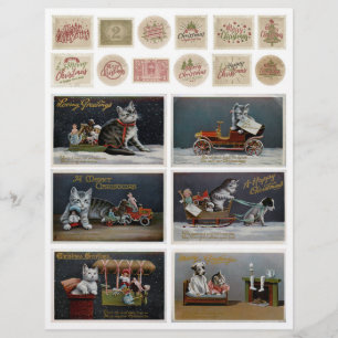 Bedrückte Katzenverkleidungen aus Holz