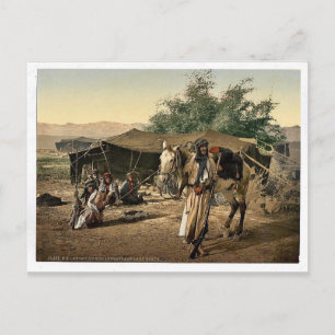 Beduinen und ihre Zelte, Heiliges Land seltene Pho Postkarte