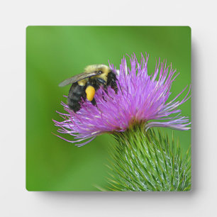 Bee and Thistle Photo Plaque Fotoplatte