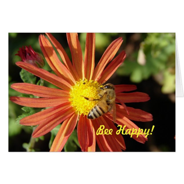 Bee auf Mama, Bee Happy! (Vorderseite (Horizontal))