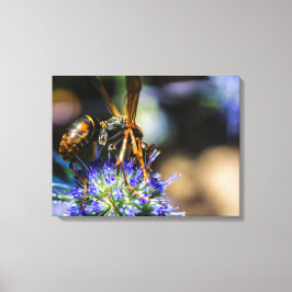 Bee Aware 24" x 18", 1,5", Single Wrapped Canvas Leinwanddruck