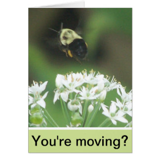 Bee Away