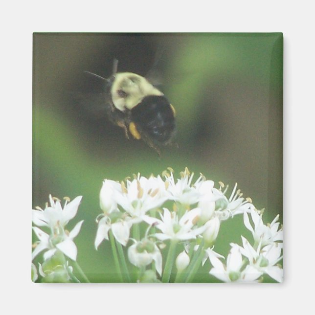 Bee Away Magnet (Vorne)