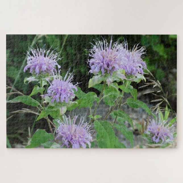 Bee Balm auf der Wiese Puzzle (Horizontal)