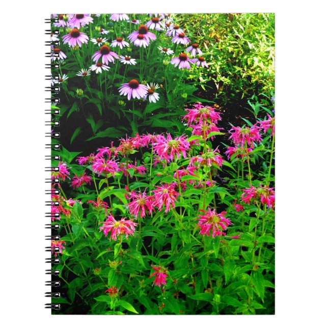 Bee Balm Notizblock (Vorderseite)