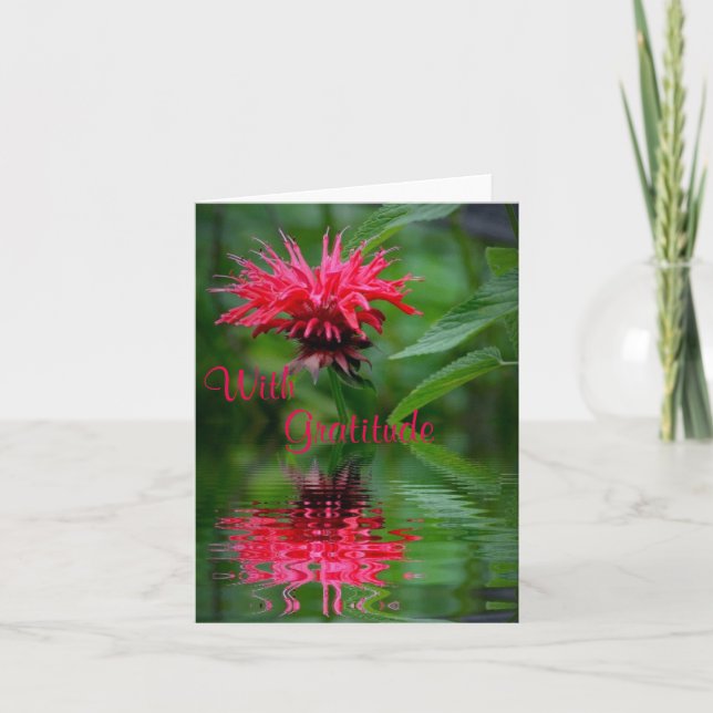 Bee Balm Reflektion Danke Karte (Vorderseite)