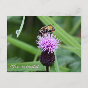 Bee Einladung Postkarte