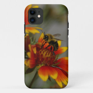Bee foraging auf einer Blume Case-Mate iPhone Fall Hülle