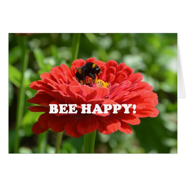 Bee Happy Red Blume (Vorderseite (Horizontal))
