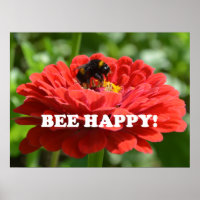 Bee Happy Red Blume