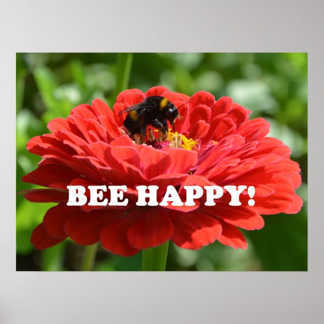 Bee Happy Red Blume Poster (Vorne)