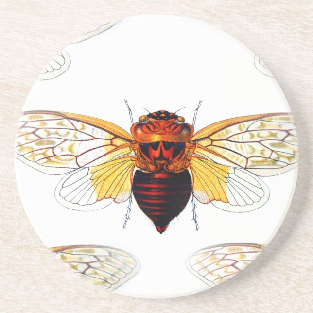 bee hibiscusgarde art getränkeuntersetzer (Vorne)