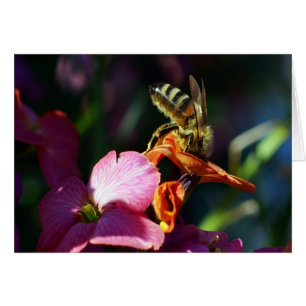 Bee-ing beschäftigt!