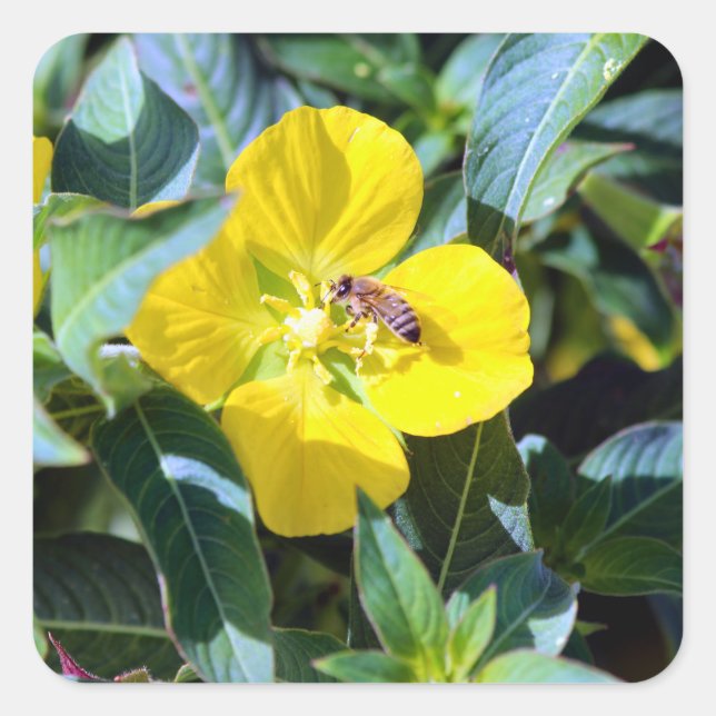 Bee-ing Productive Quadratischer Aufkleber (Vorderseite)