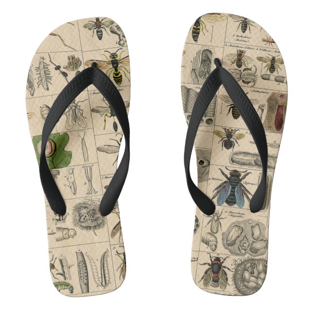 Bee Insect Bug Wasp Natural History Bees Flip Flops (Fußbett)