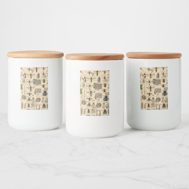 Bee Insect Bug Wasp Natural History Bees Lebensmitteletikett (Flaschen)