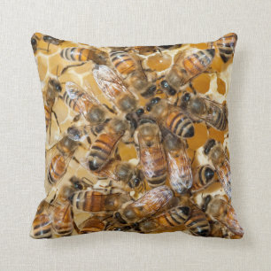 Bee keeping at Arlo’s Honey Farm Kissen