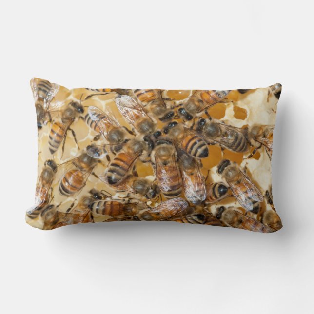 Bee keeping at Arlo’s Honey Farm Lendenkissen (Vorderseite)