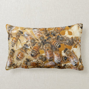 Bee keeping at Arlo’s Honey Farm Lendenkissen