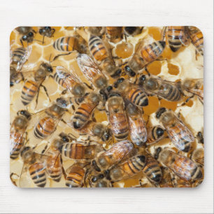 Bee keeping at Arlo’s Honey Farm Mousepad