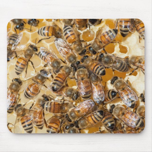 Bee keeping at Arlo’s Honey Farm Mousepad (Vorne)