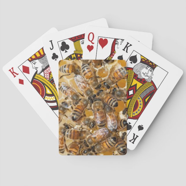 Bee keeping at Arlo’s Honey Farm Spielkarten (Rückseite)