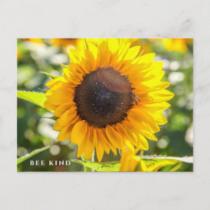 Bee Kind   Sonnenblume Postkarte