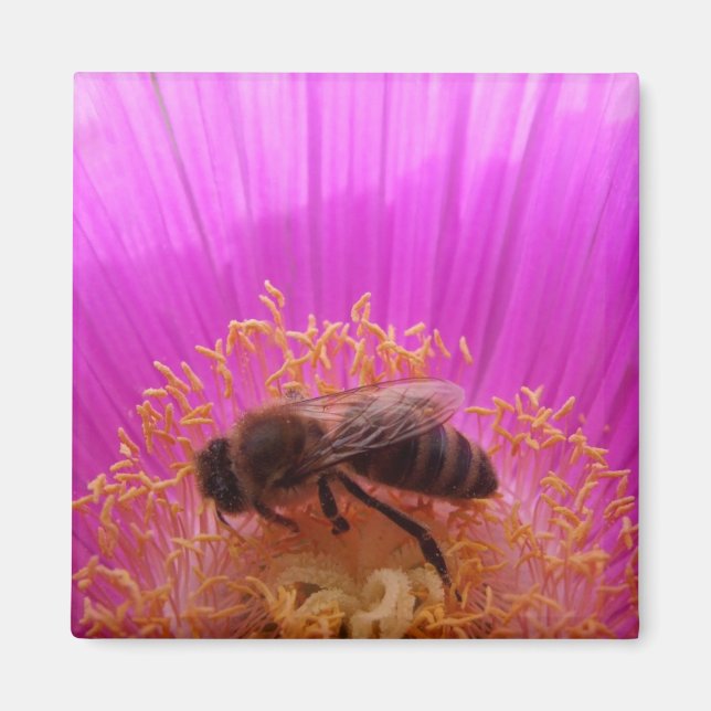 Bee Magnet (Vorne)