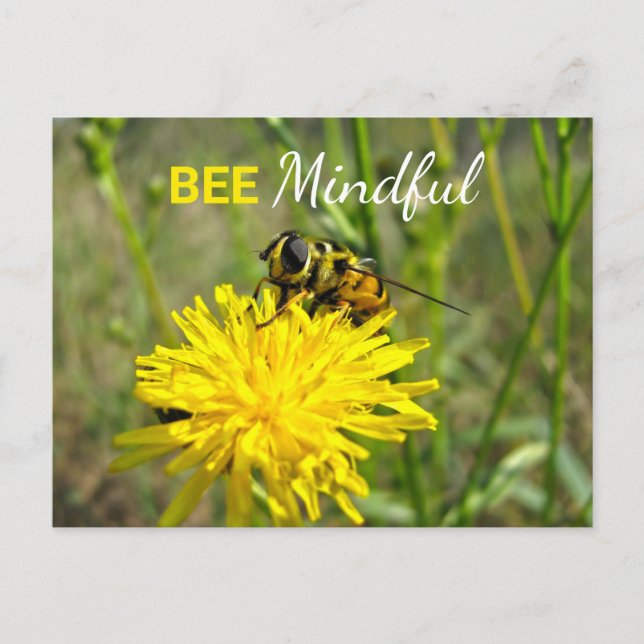 Bee Mindful Bumble Bee Dandelion Blume Postcard Postkarte (Vorderseite)