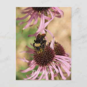 Bee on Black Mit Augen Susan Pano Vielen Dank Post Postkarte