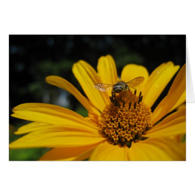 Bee on flower (Vorderseite (Horizontal))