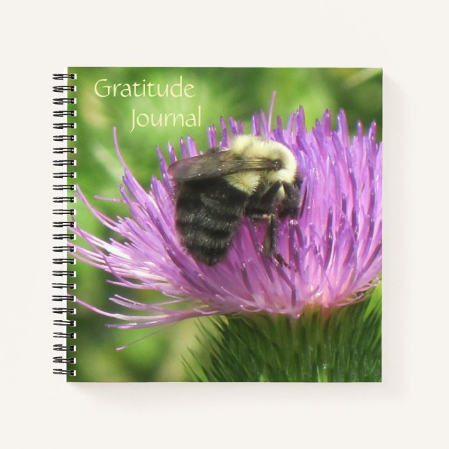 Bee on Thistle Dankeschön Journal Notizbuch (Vorderseite)