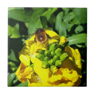 Bee on Yellow Flowers Fliese