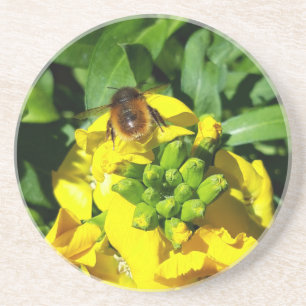 Bee on Yellow Flowers Getränkeuntersetzer