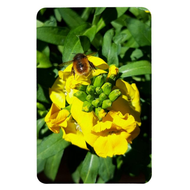Bee on Yellow Flowers Magnet (Vertikal)